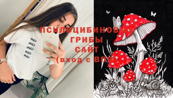 соль курить ск Белокуриха