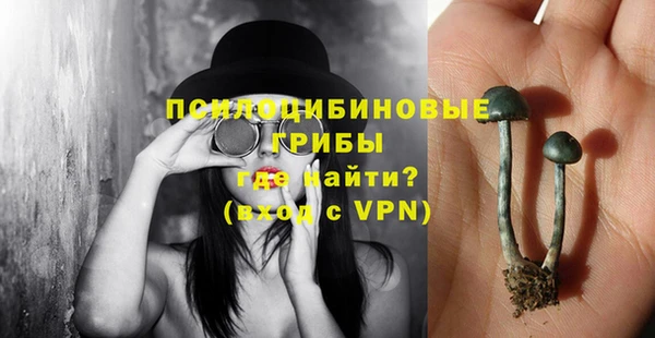 дмт Балахна