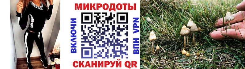 Галлюциногенные грибы ЛСД  Каменка 